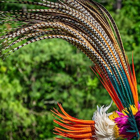 Caiman Lodge - Cuyabeno Nature Amazon Tour Екстериор снимка