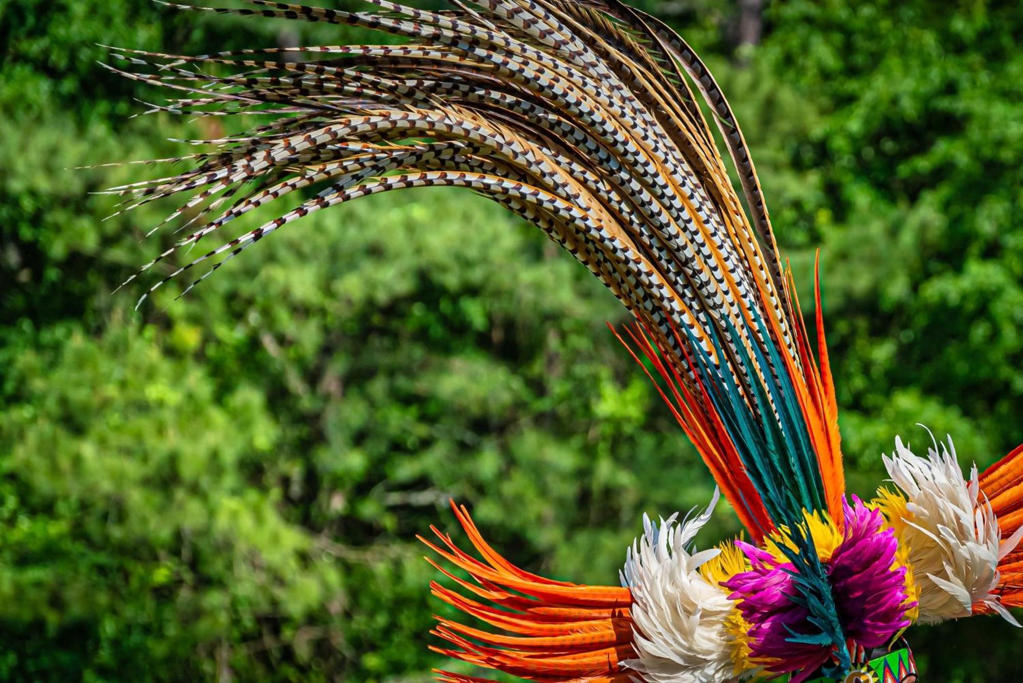 Caiman Lodge - Cuyabeno Nature Amazon Tour Екстериор снимка
