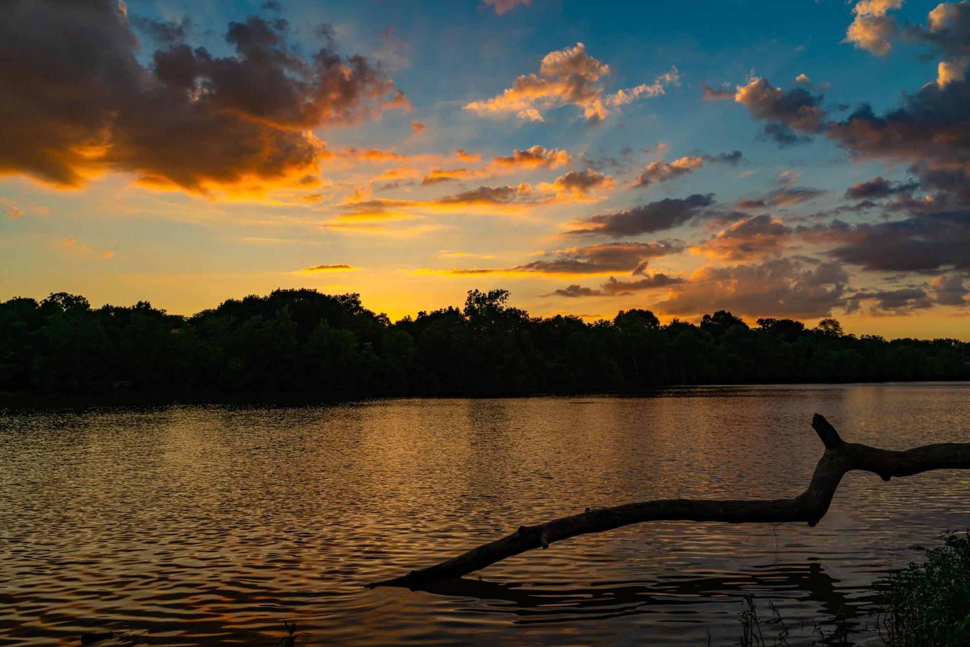 Caiman Lodge - Cuyabeno Nature Amazon Tour Екстериор снимка